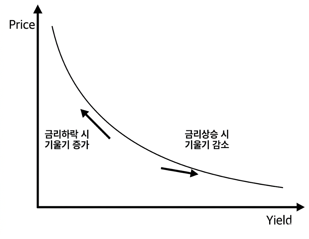 볼록성 그래프